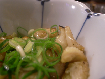 20100312_toripon
