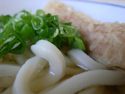 20100319_udon_hikoe