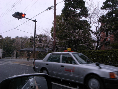 20100331_kyotoother_01
